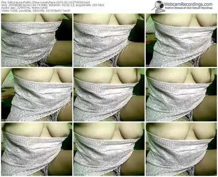 sakuralivejp-lovelyfaye-public-show-02_14_2015-07_43_24