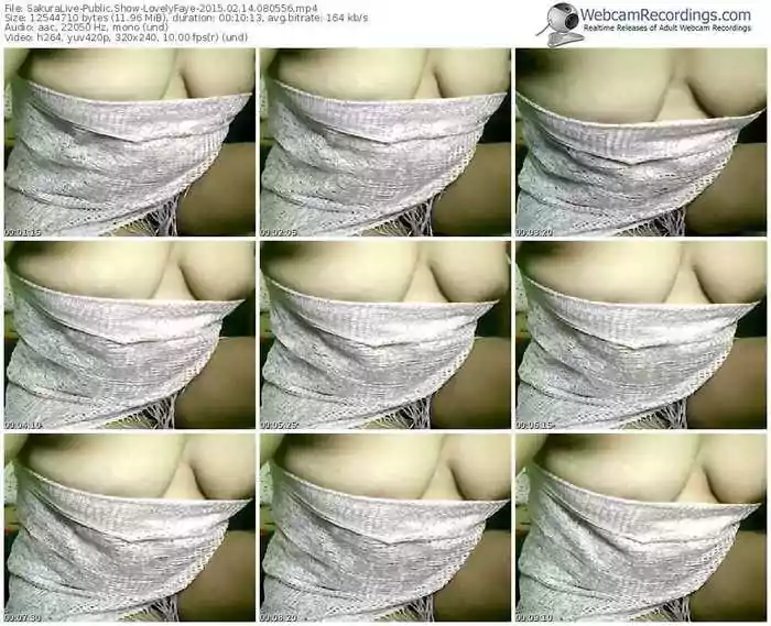 sakuralivejp-lovelyfaye-public-show-02_14_2015-08_05_56