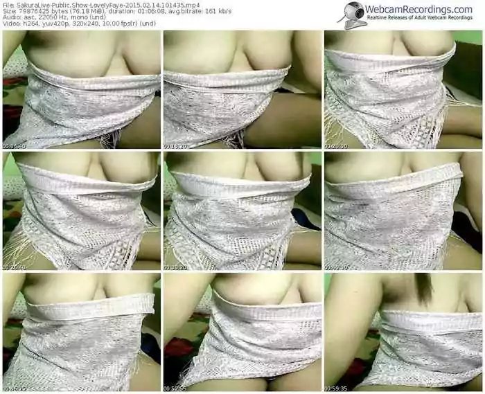 sakuralivejp-lovelyfaye-public-show-02_14_2015-10_14_35