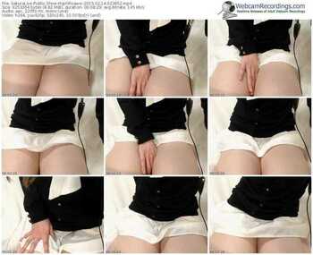 sakuralivejp-mgirlrisaww-public-show-02_14_2015-02_39_52