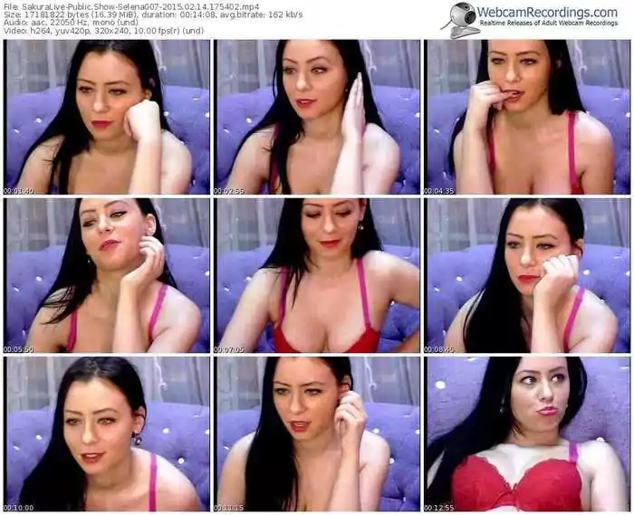 sakuralivejp-selena007-public-show-02_14_2015-17_54_02