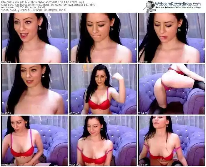 sakuralivejp-selena007-public-show-02_14_2015-19_20_21