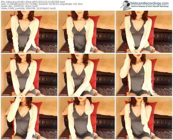 sakuralivejp-ary0-public-show-02_14_2015-06_19_35