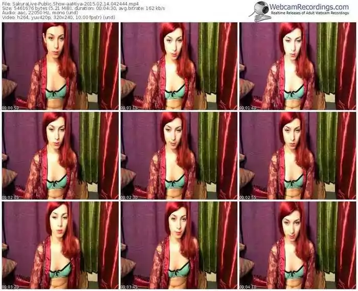 sakuralivejp-aamiya-public-show-02_14_2015-04_24_44