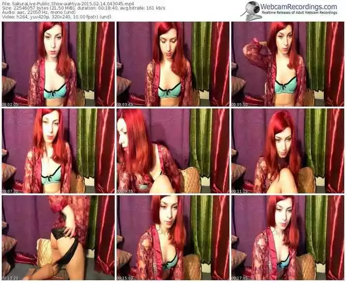 sakuralivejp-aamiya-public-show-02_14_2015-04_30_45