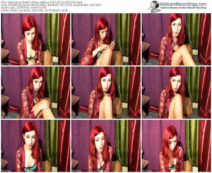 sakuralivejp-aamiya-public-show-02_14_2015-05_12_32