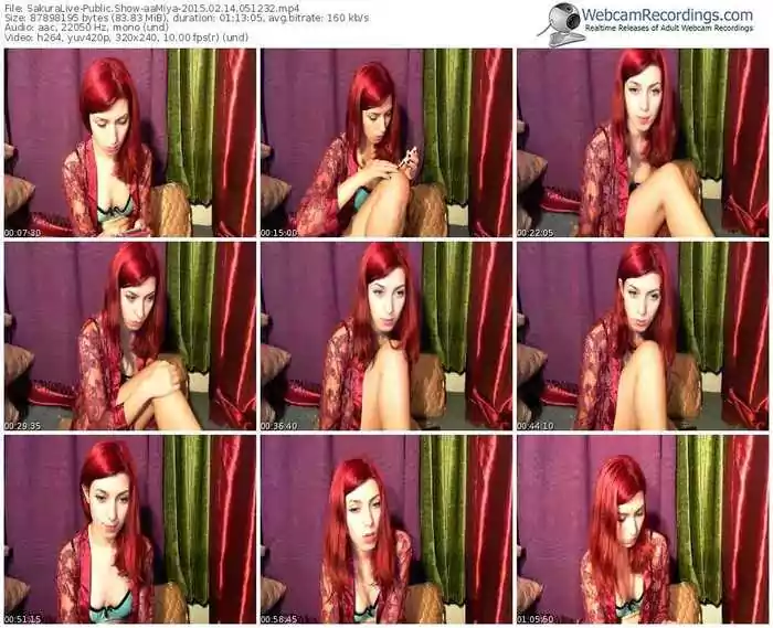sakuralivejp-aamiya-public-show-02_14_2015-05_12_32