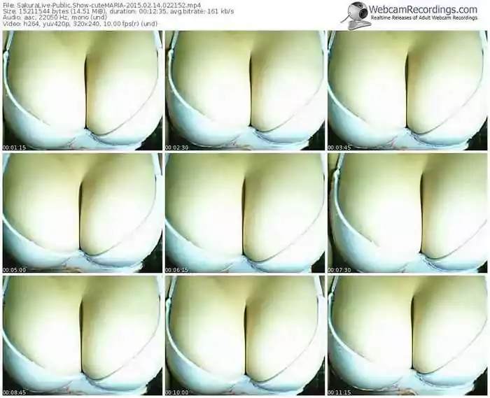 sakuralivejp-cutemaria-public-show-02_14_2015-02_21_52