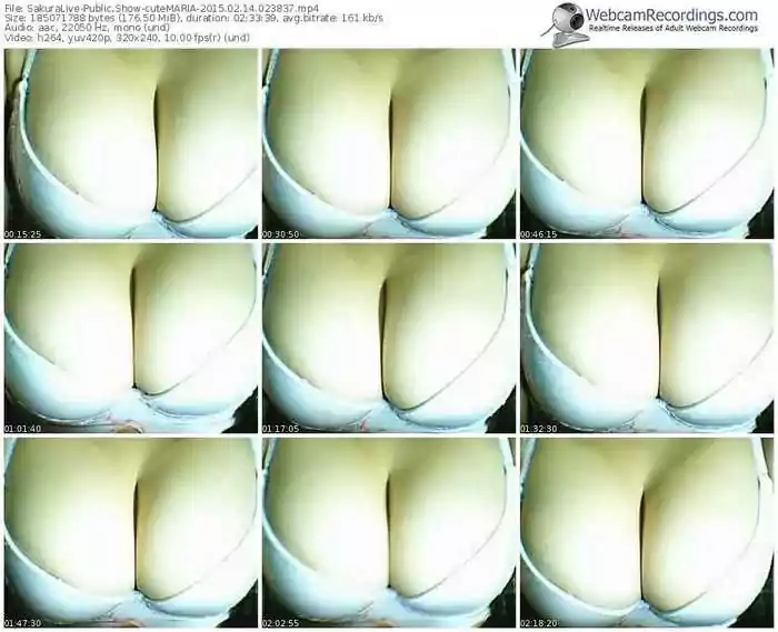 sakuralivejp-cutemaria-public-show-02_14_2015-02_38_37