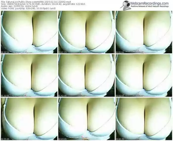 sakuralivejp-cutemaria-public-show-02_14_2015-12_28_42