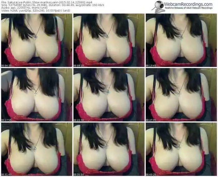 sakuralivejp-marikocyann-public-show-02_14_2015-22_39_02