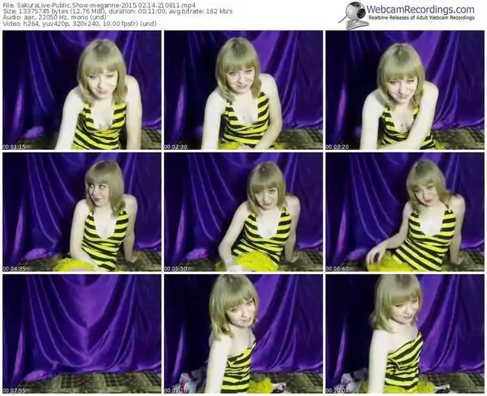 sakuralivejp-meganne-public-show-02_14_2015-21_08_11