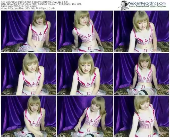 sakuralivejp-meganne-public-show-02_14_2015-21_21_12