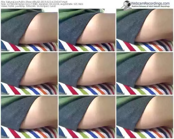 sakuralivejp-setu02-public-show-02_14_2015-13_41_47