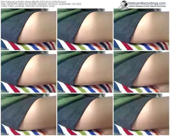 sakuralivejp-setu02-public-show-02_14_2015-14_01_32