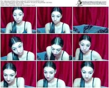sakuralivejp-seducer1-public-show-02_14_2015-04_58_16