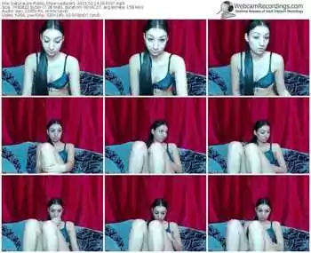 sakuralivejp-seducer1-public-show-02_14_2015-06_40_37