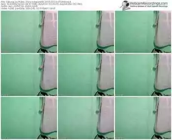 sakuralivejp-sorasora09-public-show-02_14_2015-07_18_09