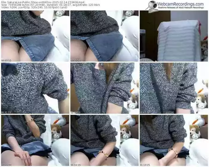 sakuralivejp-vvmikovv-public-show-02_14_2015-15_34_08