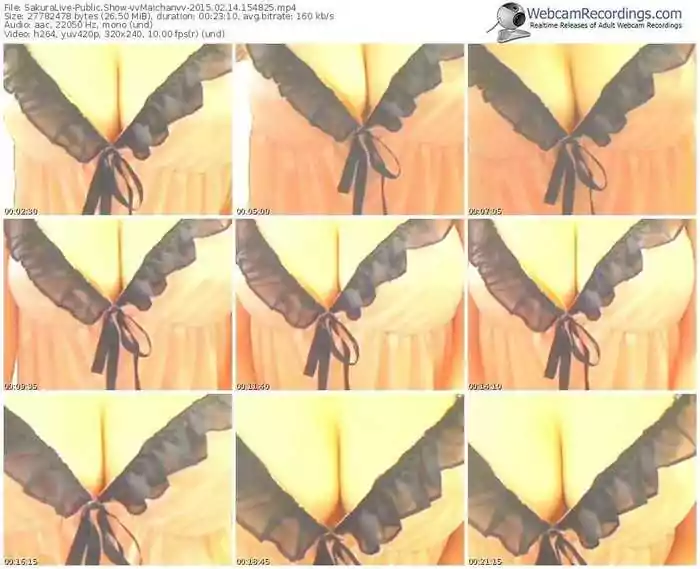 sakuralivejp-vvmaichanvv-public-show-02_14_2015-15_48_25