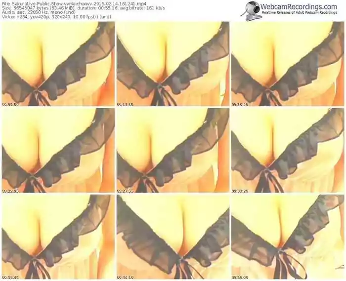 sakuralivejp-vvmaichanvv-public-show-02_14_2015-16_12_41