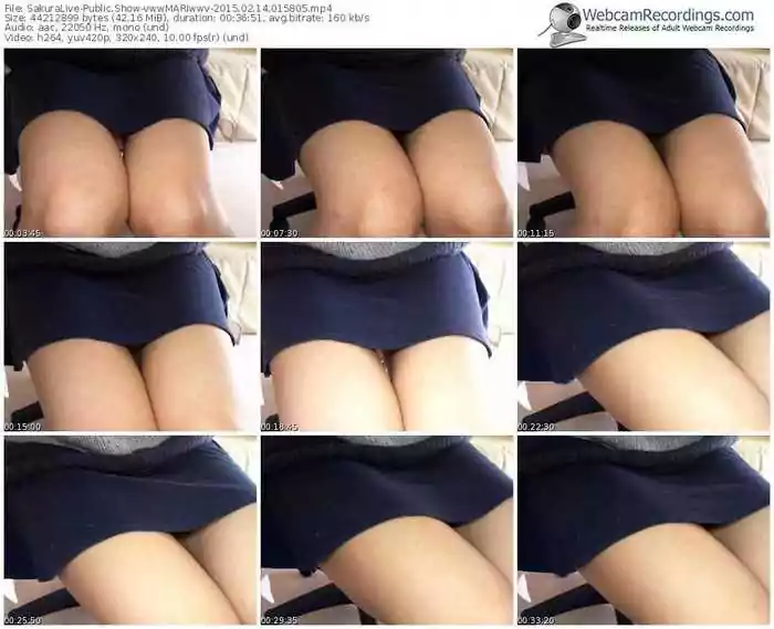 sakuralivejp-vwwmariwwv-public-show-02_14_2015-01_58_05