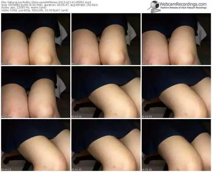 sakuralivejp-vwwmariwwv-public-show-02_14_2015-14_59_51