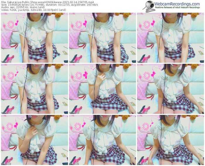 sakuralivejp-wwwhonokawww-public-show-02_14_2015-23_47_05