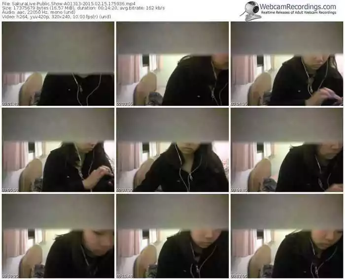 sakuralivejp-ao1313-public-show-02_15_2015-17_59_36