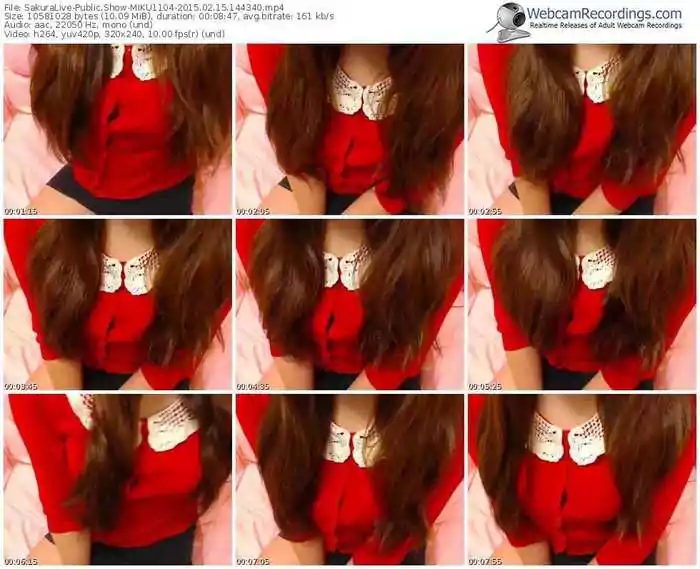 sakuralivejp-miku1104-public-show-02_15_2015-14_43_40