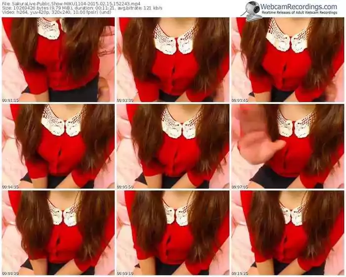 sakuralivejp-miku1104-public-show-02_15_2015-15_22_43