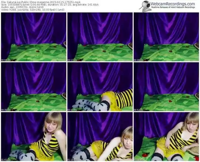 sakuralivejp-meganne-public-show-02_15_2015-17_51_51