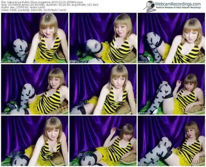 sakuralivejp-meganne-public-show-02_15_2015-20_58_00