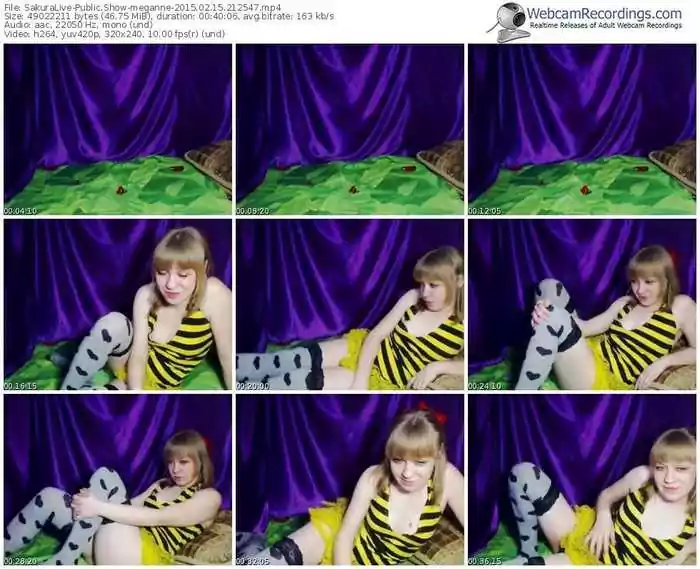 sakuralivejp-meganne-public-show-02_15_2015-21_25_47