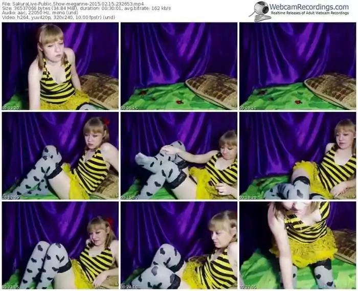 sakuralivejp-meganne-public-show-02_15_2015-23_26_53