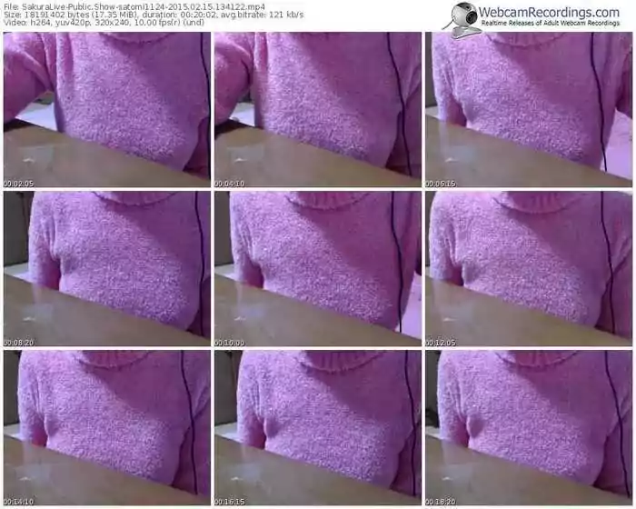 sakuralivejp-satomi1124-public-show-02_15_2015-13_41_22