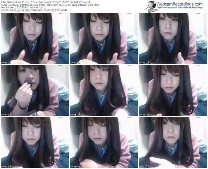 sakuralivejp-bernkastel730-public-show-02_16_2015-14_17_23