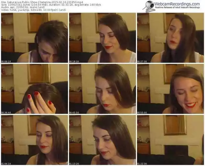 sakuralivejp-chaterina-public-show-02_16_2015-22_18_50