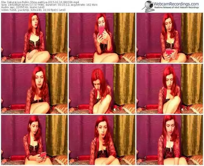 sakuralivejp-aamiya-public-show-02_16_2015-08_03_36