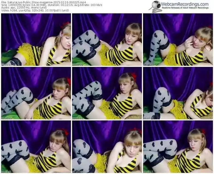 sakuralivejp-meganne-public-show-02_16_2015-00_02_25