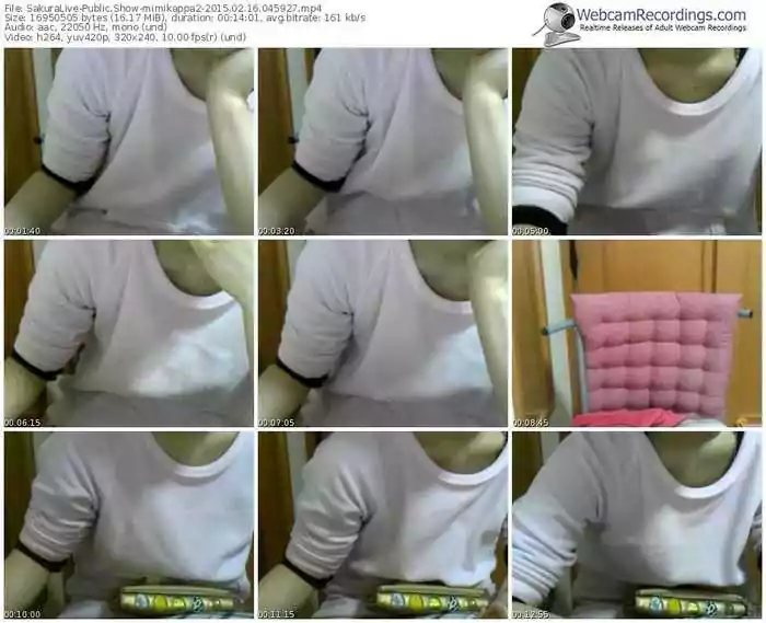 sakuralivejp-mimikappa2-public-show-02_16_2015-04_59_27