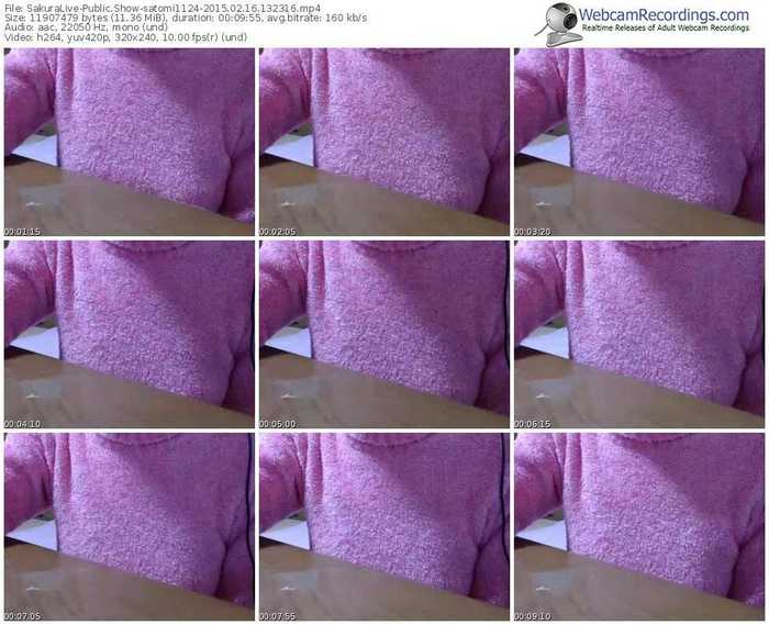 sakuralivejp-satomi1124-public-show-02_16_2015-13_23_16