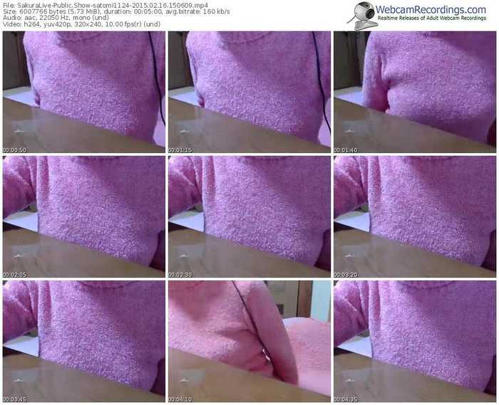 sakuralivejp-satomi1124-public-show-02_16_2015-15_06_09