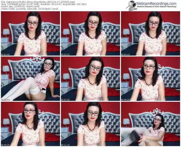 sakuralivejp-alexiskinky-public-show-02_17_2015-22_55_55