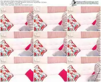 sakuralivejp-rame3-public-show-02_17_2015-17_26_23