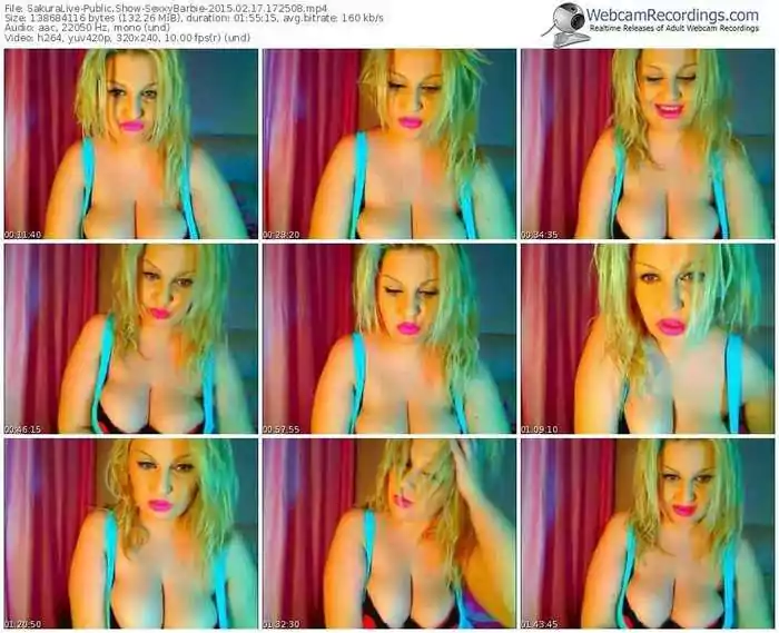 sakuralivejp-sexxybarbie-public-show-02_17_2015-17_25_08