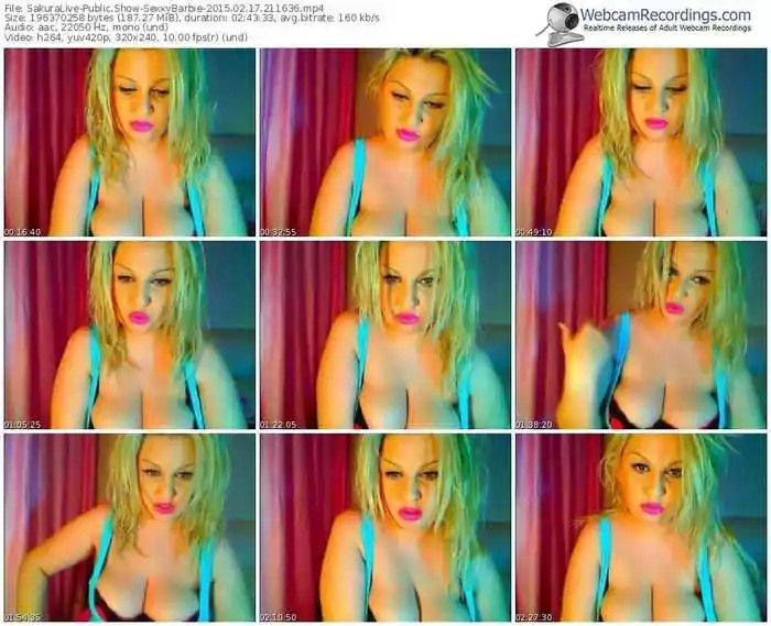 sakuralivejp-sexxybarbie-public-show-02_17_2015-21_16_36