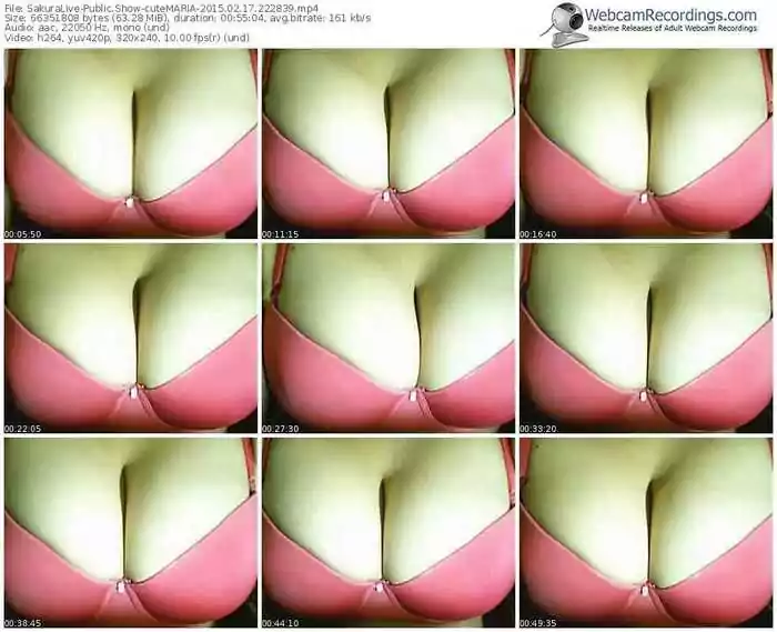 sakuralivejp-cutemaria-public-show-02_17_2015-22_28_39