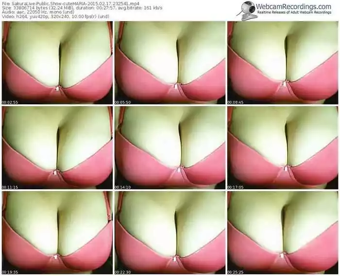 sakuralivejp-cutemaria-public-show-02_17_2015-23_25_41