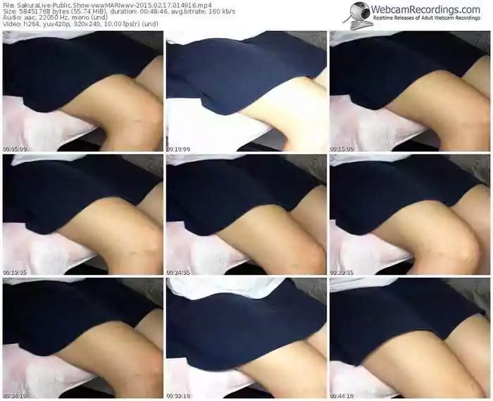 sakuralivejp-vwwmariwwv-public-show-02_17_2015-01_49_16